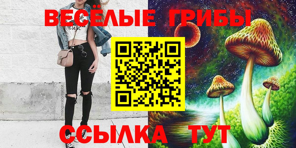 Галлюциногенные грибы Psilocybe  Псилоцибиновые грибы Psilocybine cubensis  Миасс  Вход с VPN 